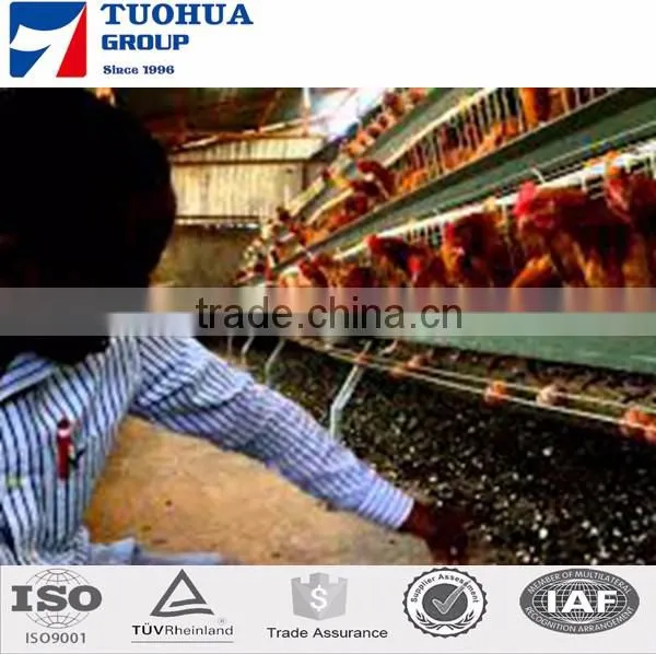 200x220x210cm chicken breeding cage