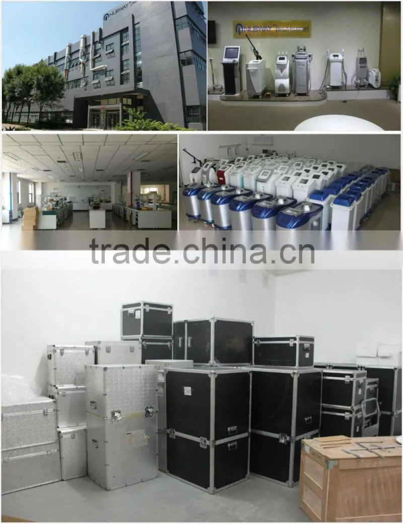 cryotherapy cryolipolysis cellulite system cryolipolysis fat freezing beauty machine