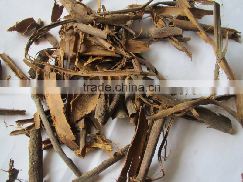 rou gui cinnamon broken cinnamon incense stick