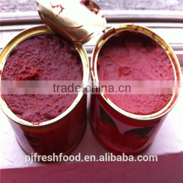 Canned Tomato Paste