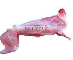 Frozen rabbit bone in whole carcass