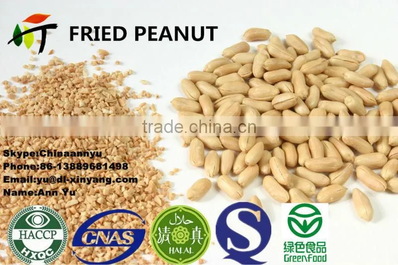 Hot sale sated broad beans fava beans price