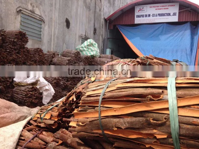 ROUND CUT CINNAMON/ CASSIA