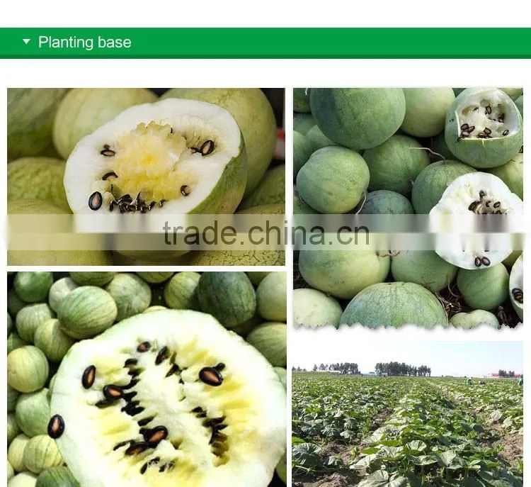 chinese best price for water melon seeds