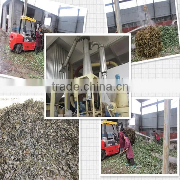 the best extractum glycyrrhizae liquidum supplier with professional technology