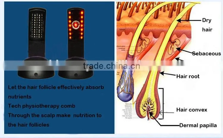Home Use Hair Growth Hair Care Laser Comb factory price