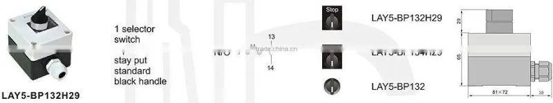 LAY5-BP132H29 1 selector switch 2 position stay put standard black handle with control box