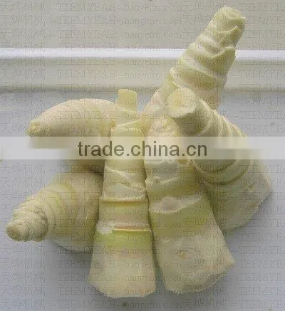 TW-822 Made in Taiwan Ginger procesing Machine (Video)