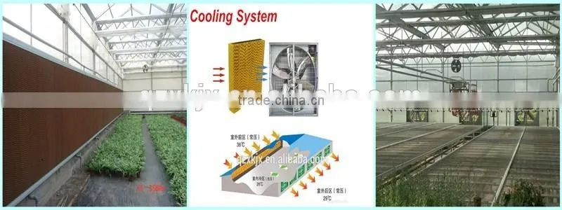 Mechanism roll up ventilation film greenhouse