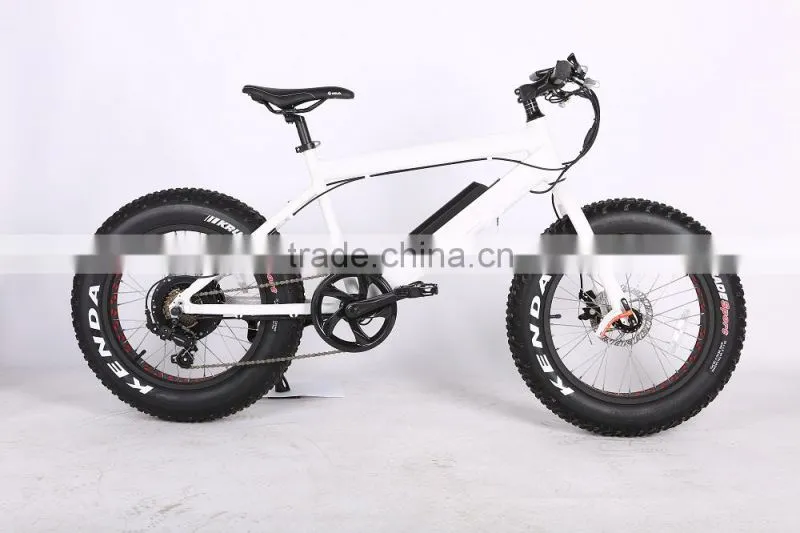 2017 New design 20 inch 36V 350W non-foldable electric fat bike