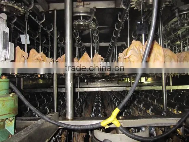 portable automatic chicken slaughter houses for slaughtering