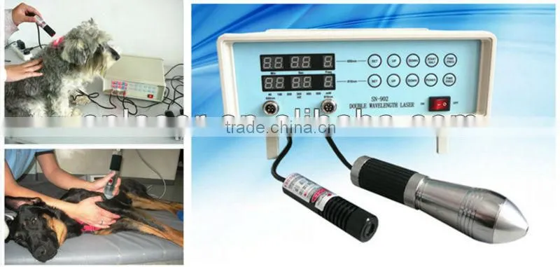 SN-902A Laser veterinary equipment