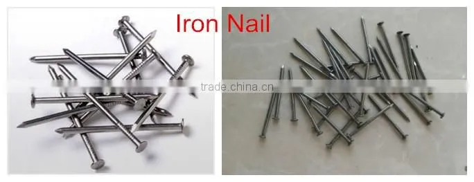 Common Iron Nail Wire Nail With Galvanized and Polished/common iron nail factory