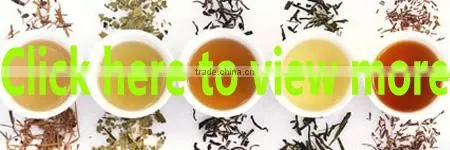 Premium Chinese henan province sharp green tea xinyang souchong maofeng tea xinyangmaojian green tea