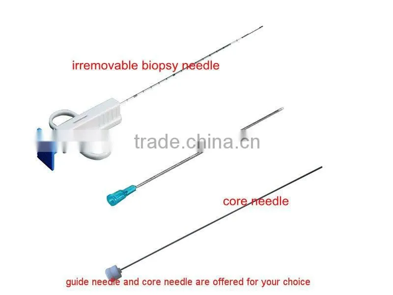 A cut off the internal organs of the biopsy needle