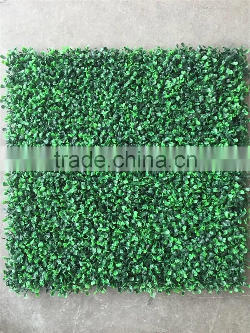 PE Material and Artificial Topiary Hedge Plant Type outdoor artificial boxwood hedge