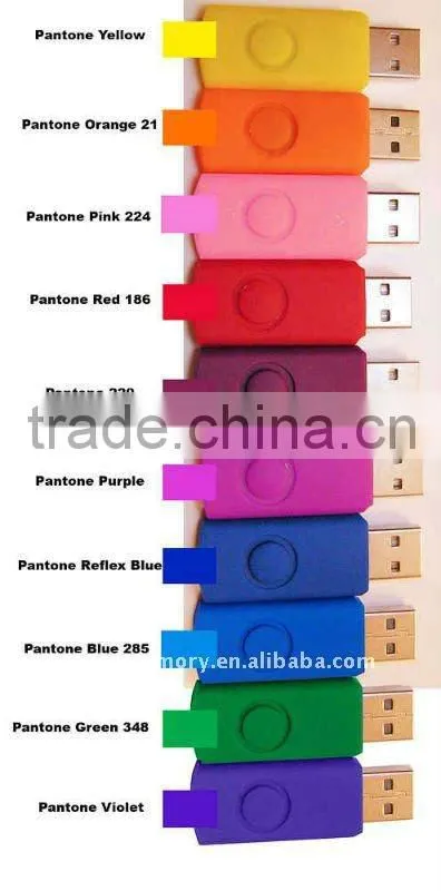 2GB/4GB/8GB unique usb memory stick