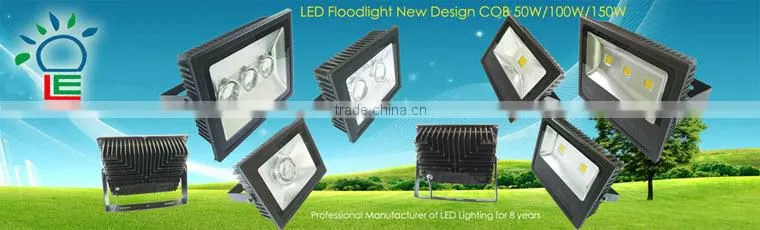 30W 60W 100W 150W LED Flood Light
