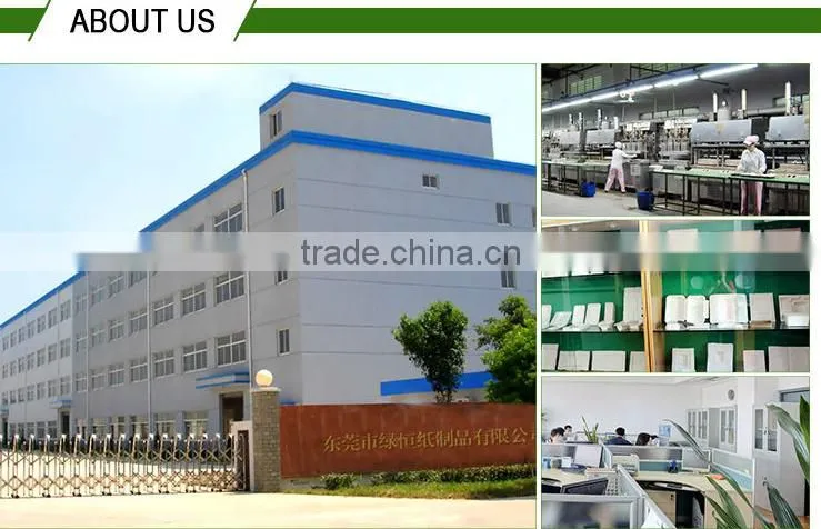 China Supplier New Products High Quality Eco-friendly Thermoforming Blister Pulp Moulding Process Type Phone Packaging Trays
