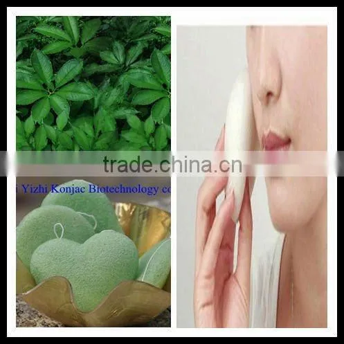 face cleansing sponge
