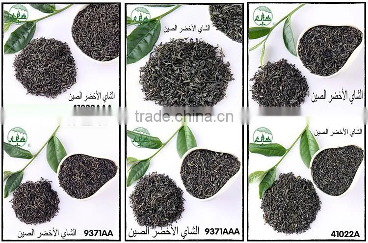 9371 No Pollution China Tea, Chunmee Green Tea/China Export Green Tea Chunmee