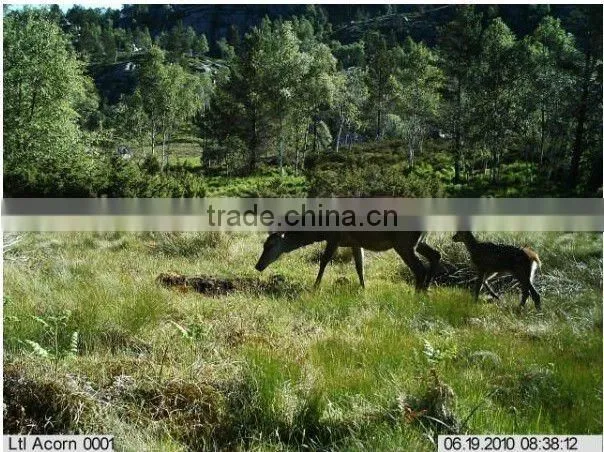 IR INFRARED GAME CAMERA 12 MP BEST PRICE ANYWHERE!!!!!! KO-HC01