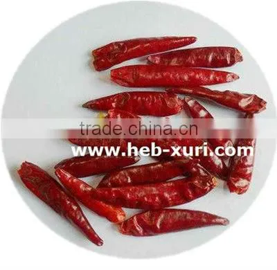 dry red new generation chili
