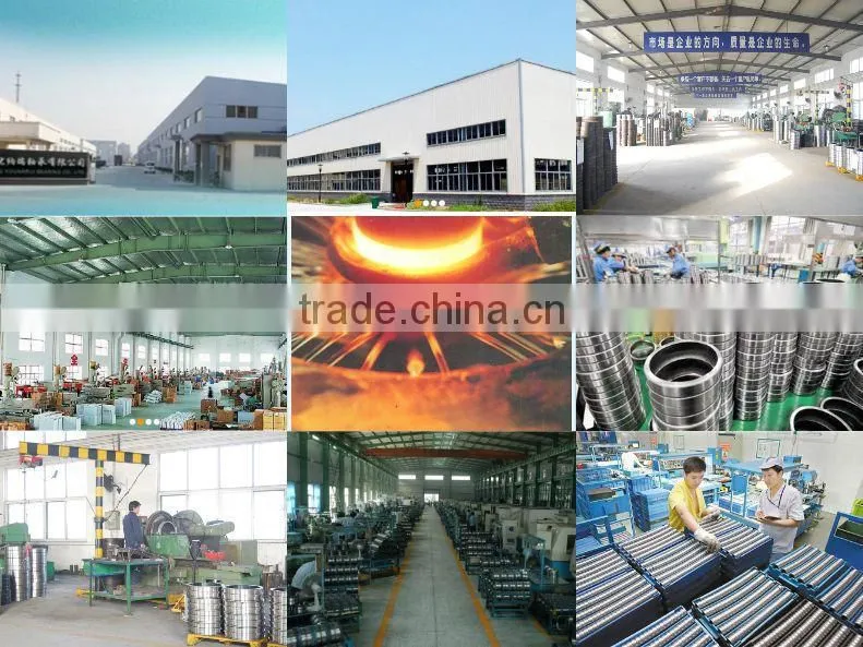 China Good Price Self Aligning Ball Bearing Prices SAV-4 V 4
