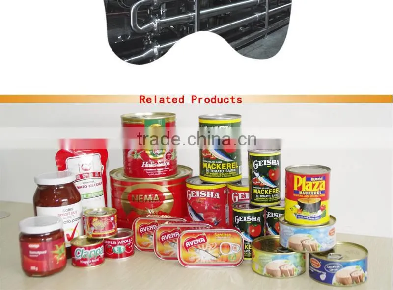 Tomato paste usa hot selling! 70gX50tins
