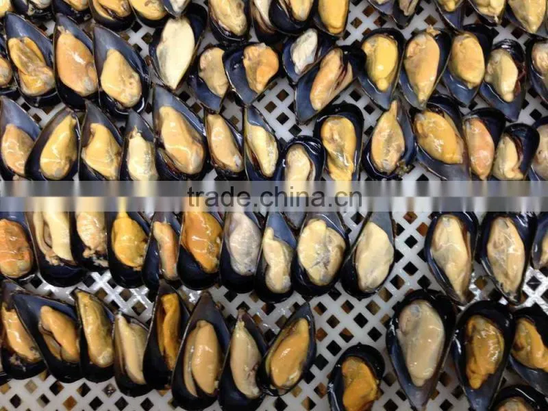 Frozen blue mussel meat