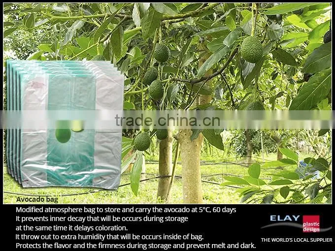 Dragon fruit bag