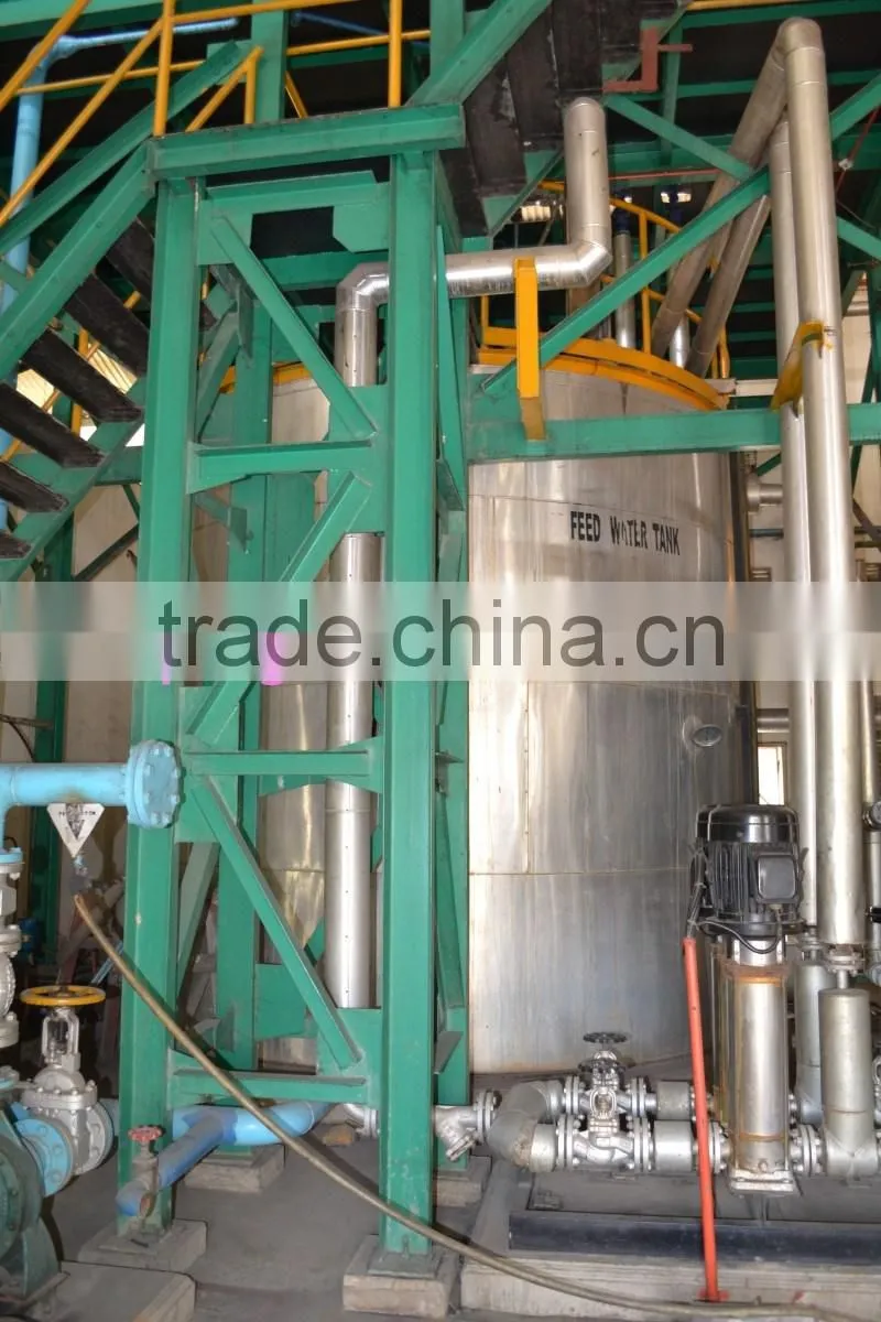 Most popular bottom price in Africa 40TPH palm oil equipment