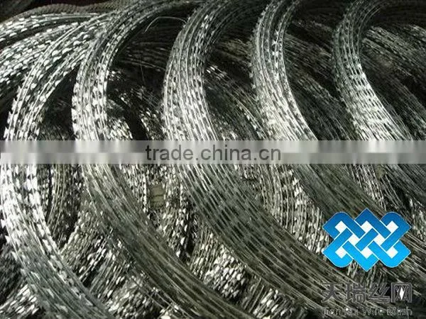 razor barbed wire/concertina wire for sale