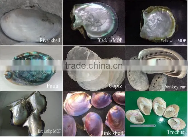 Grade A chinese agoya shell buttons for dress