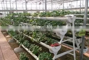 Hydroponic system for plant growth