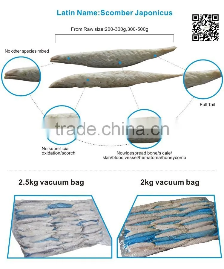 New seafood and fish products canned fish fillets