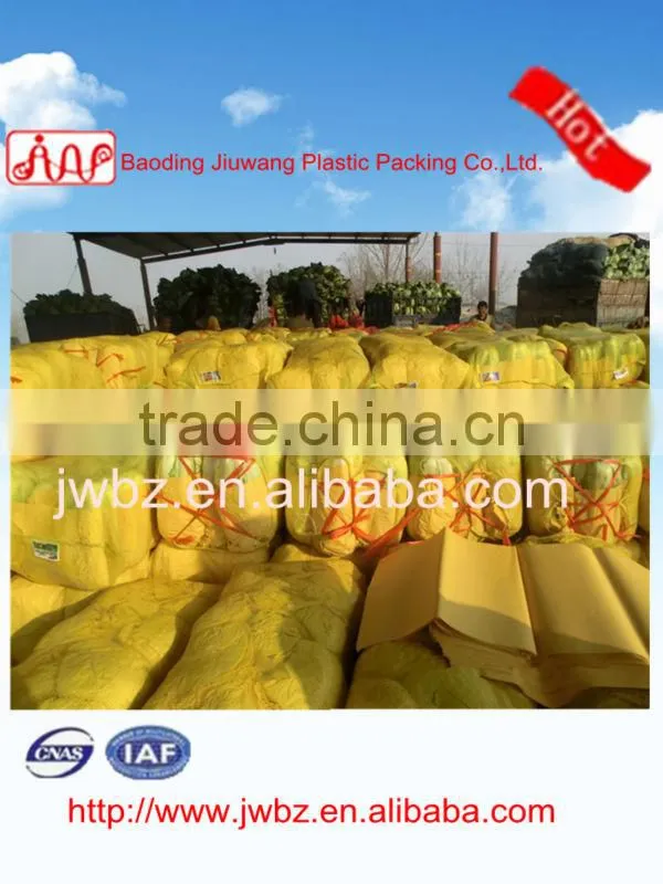 PP circular packaging bags with drawstring for potatoes China