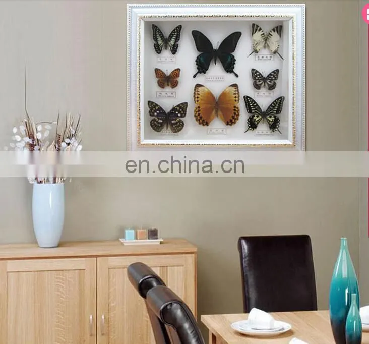 Real Butterfly Mounted in Frames - Decoration & Gifts