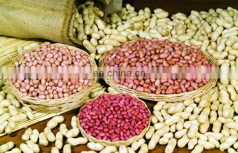 Automatic 1000L/H Peanut Milk Production Line
