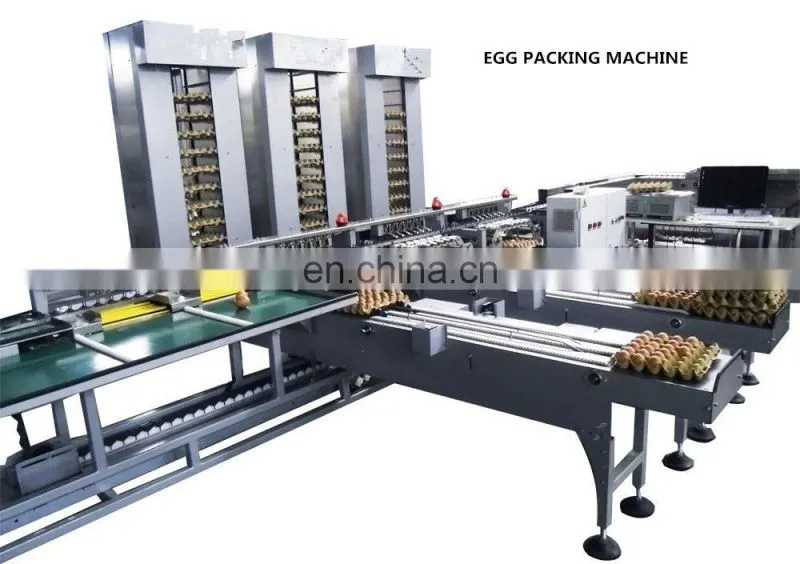 Industrial egg processing line / egg washing/grading/packing machine