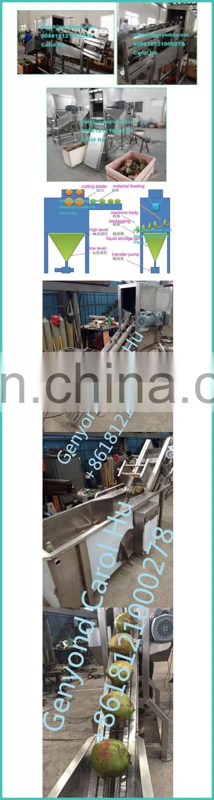 Stainless steel 304 l coconut cutting machine for getting coconut water