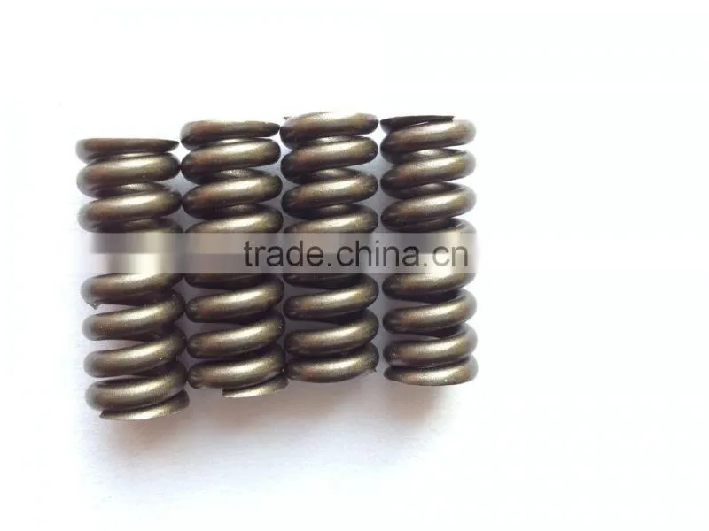 fuel injector spring 2434614020