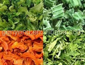 Core Components PLC Gear Pump Motor-Fruit and Vegetable Chips Making Machine