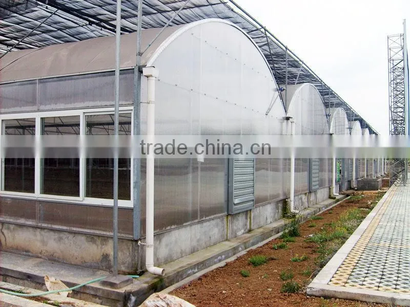 Hot Dipped Galvanized Tomato Growing Greenhouse