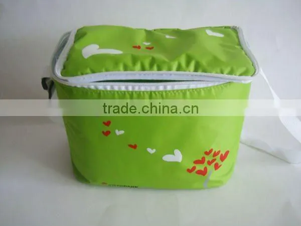 cooler bag for frozen food