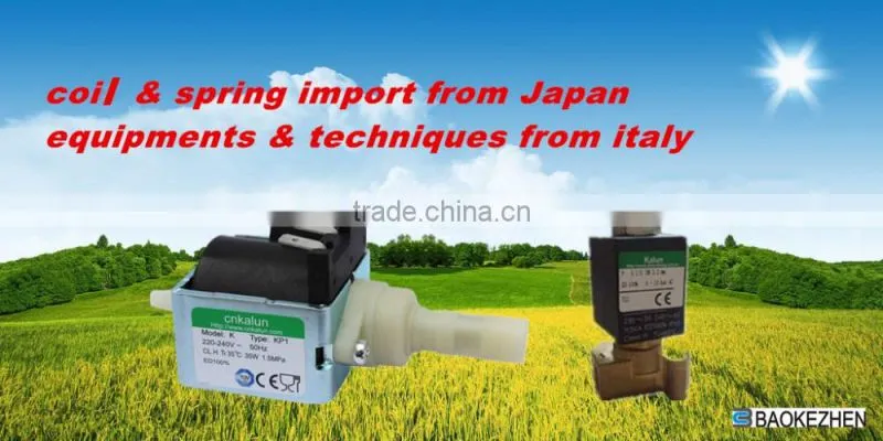 LP1 Solenoid Pump with 220-240V 50Hz for Steam Mop passed TUV certificate
