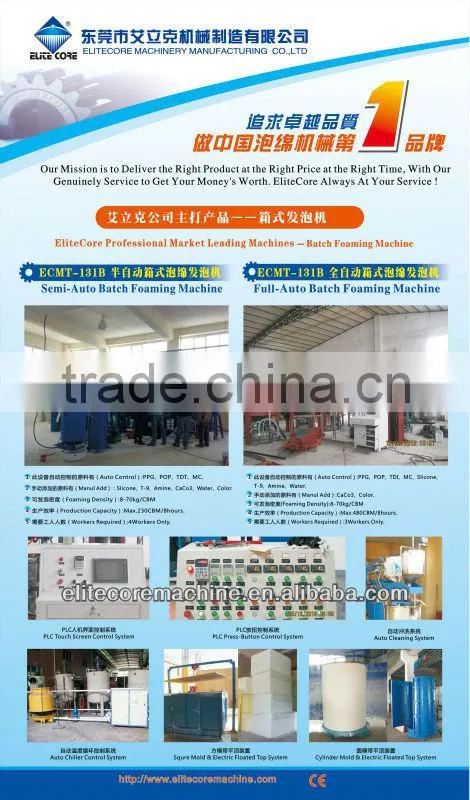 2013 fully-auto batch foam machine from EltieCore Foaming Machine