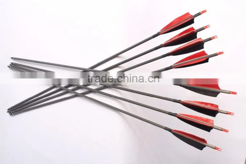 Carbon arrows with turkey feather arrow vane