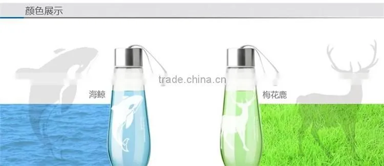 480ML Water Bottle With Bag Leak Proof Custom Glass Water Bottle Drinkware Transparent Water Bottles Cute Outdoor Sports Tumbler