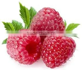 Raspberry Juice Powder 10:1